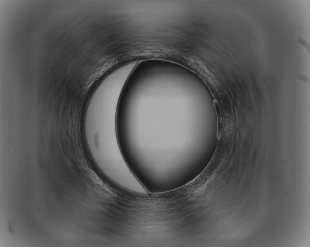 X0000091890585200709051046