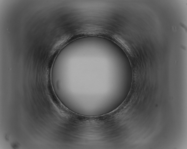 X0000091890586200709051046