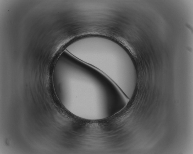 X0000091890588200709051046