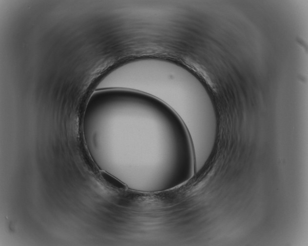 X0000091890589200709051046