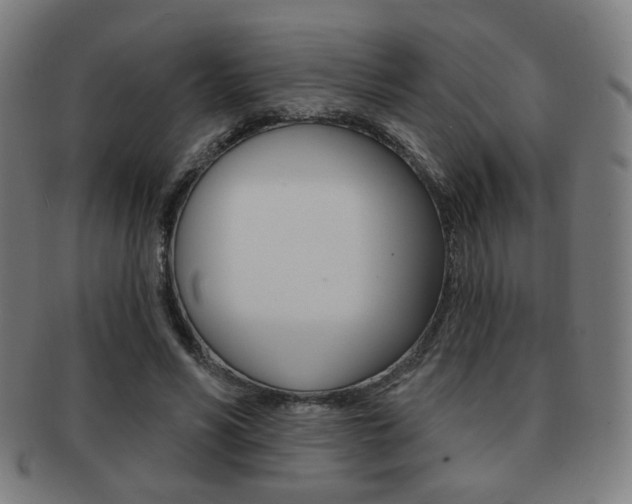 X0000091890590200709051046