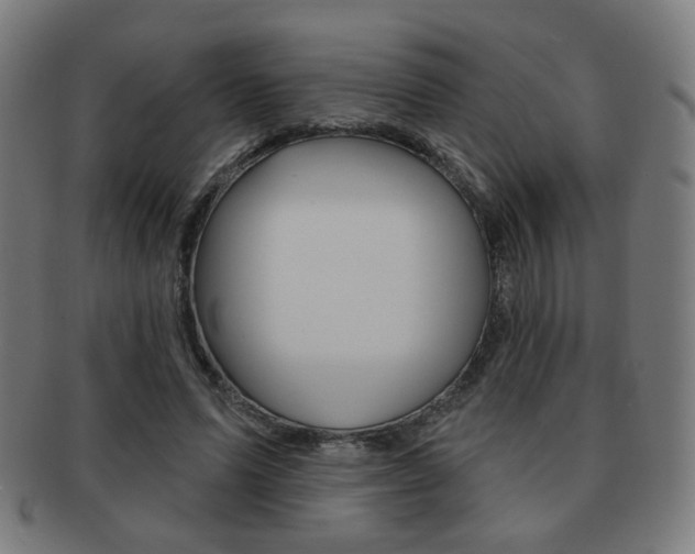X0000091890591200709051046