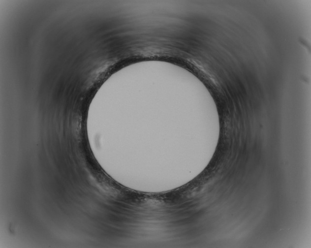 X0000091890592200709051046