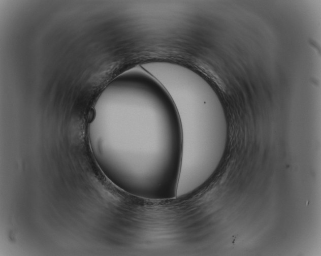 X0000091890593200709051046