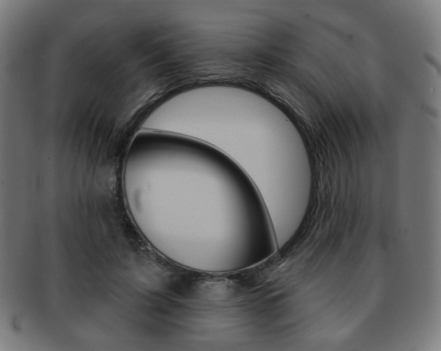 X0000091890595200709051046