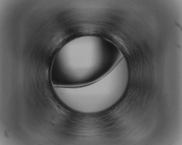 X0000091890596200709051046