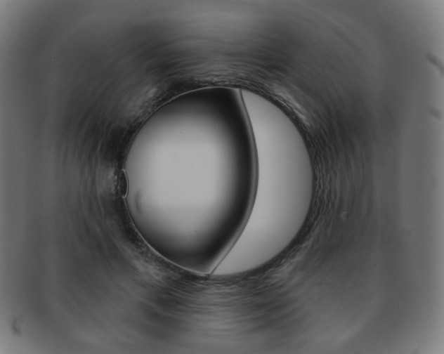 X0000091890597200709051046