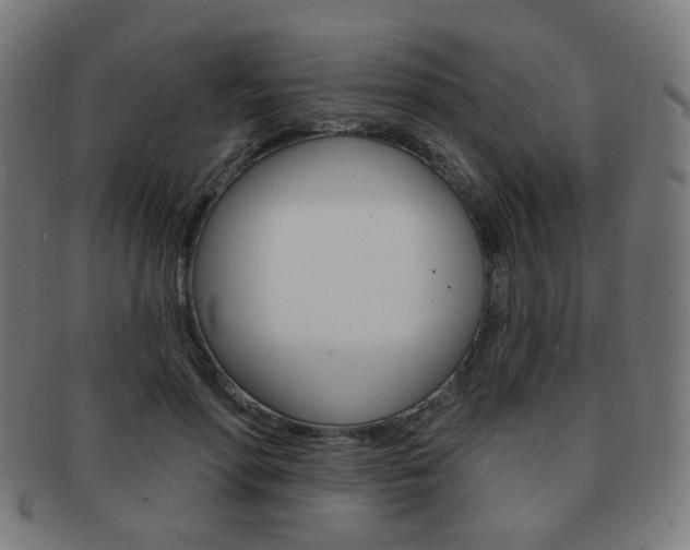 X0000091890598200709051046