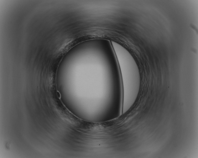 X0000091890600200709051046