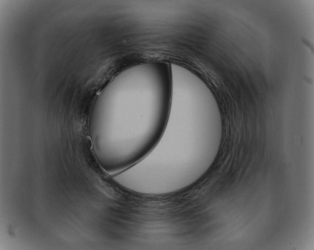 X0000091890601200709051046