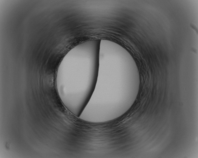 X0000091890602200709051046