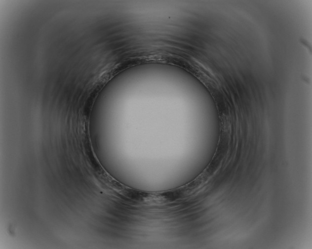 X0000091890603200709051046