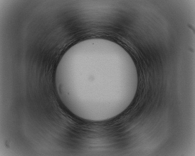 X0000091890604200709051046