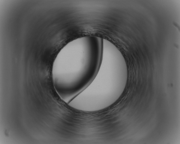 X0000091890608200709051046