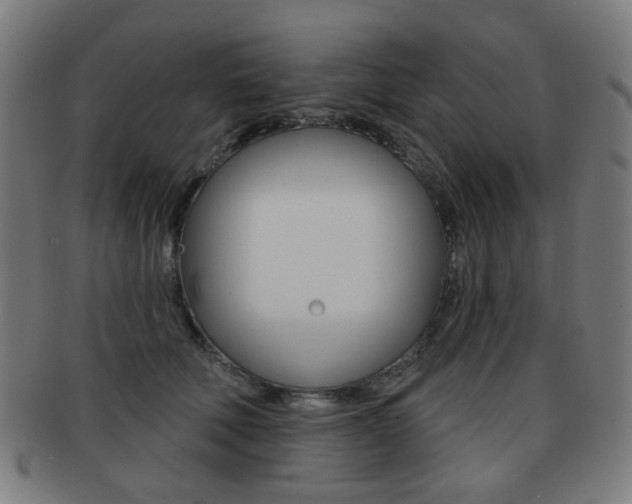 X0000091890610200709051046