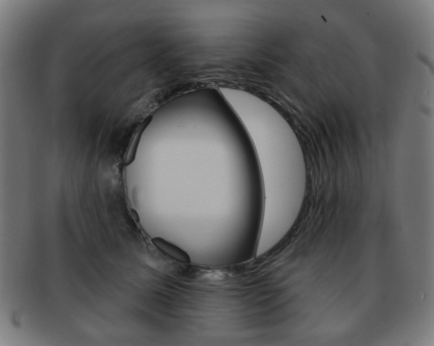 X0000091890611200709051046