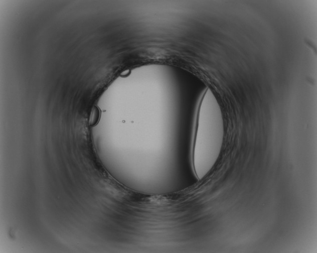 X0000091890612200709051046