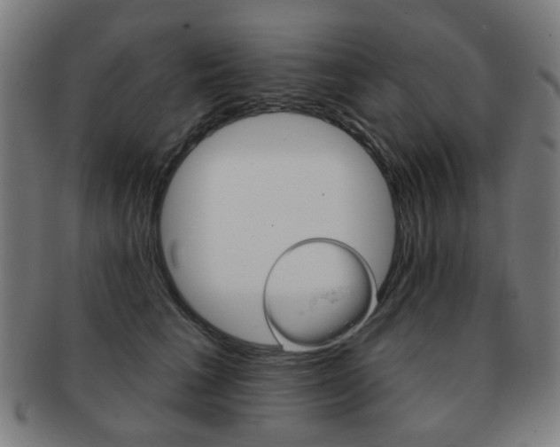 X0000091890613200709051046