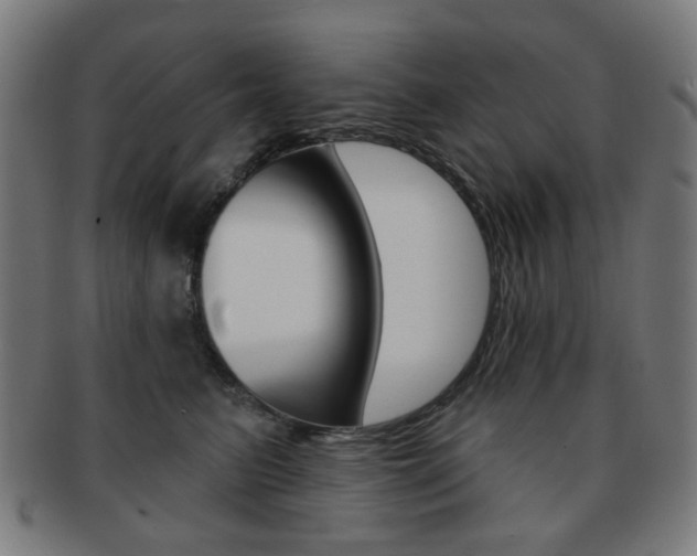 X0000091890615200709051046