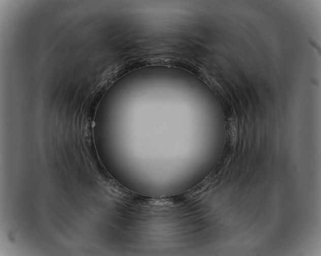 X0000091890619200709051046