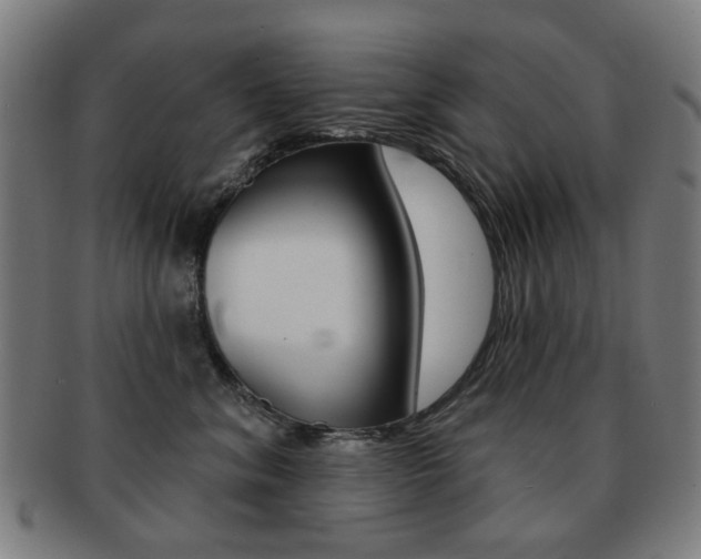 X0000091890620200709051046