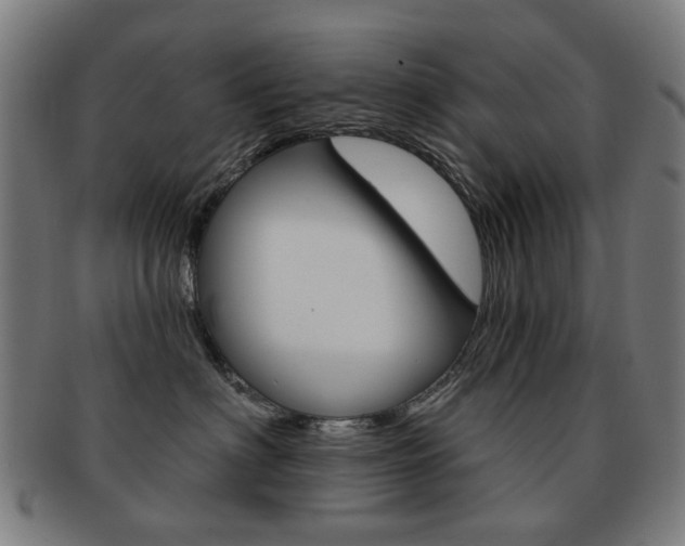X0000091890622200709051046