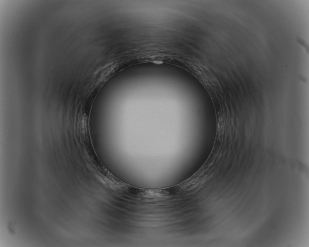X0000091890623200709051045