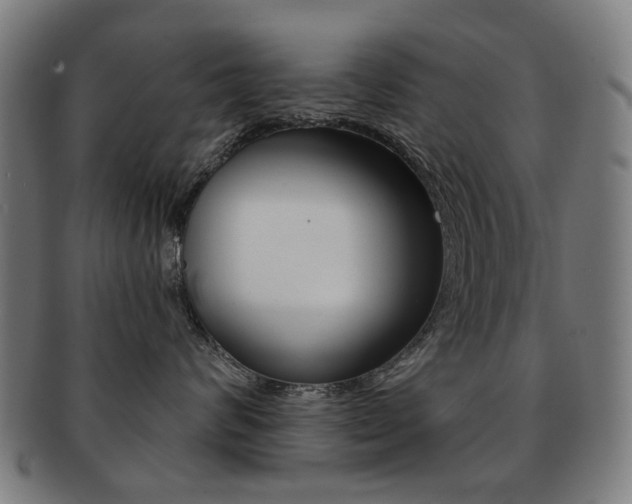 X0000091890624200709051045