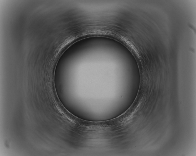 X0000091890625200709051045