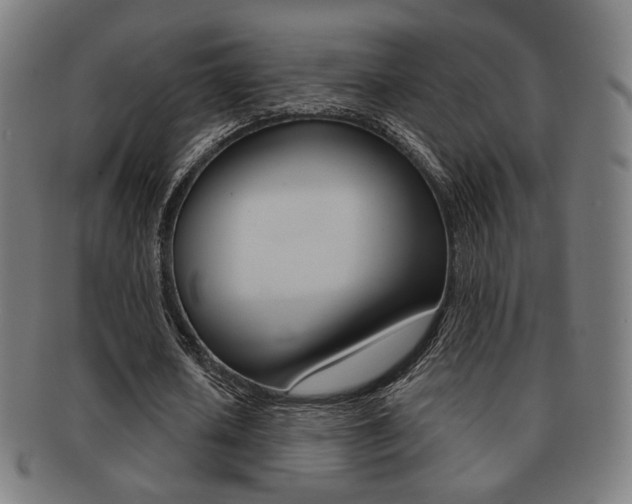 X0000091890626200709051045