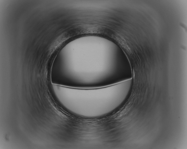 X0000091890627200709051045