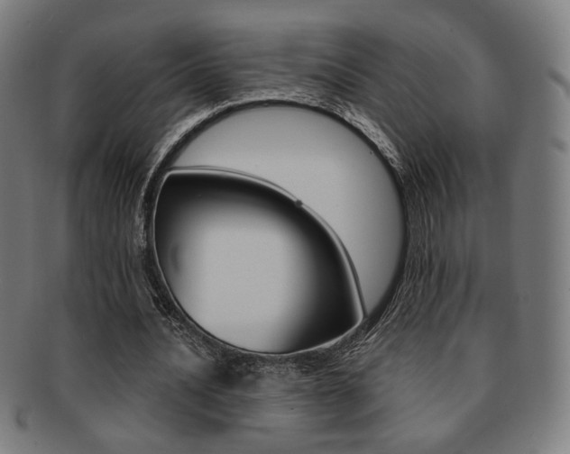X0000091890628200709051045