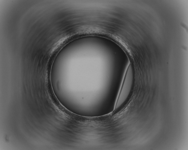 X0000091890629200709051045