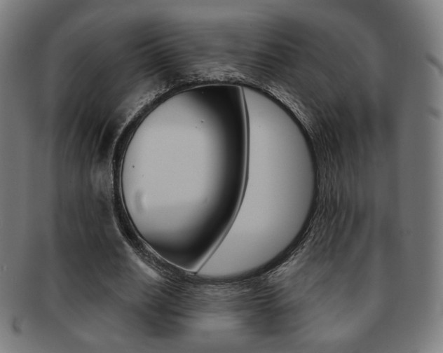X0000091890630200709051045
