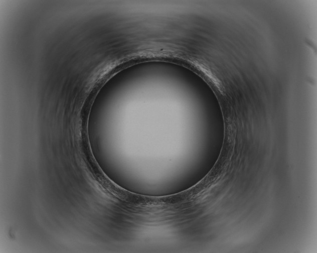 X0000091890631200709051045