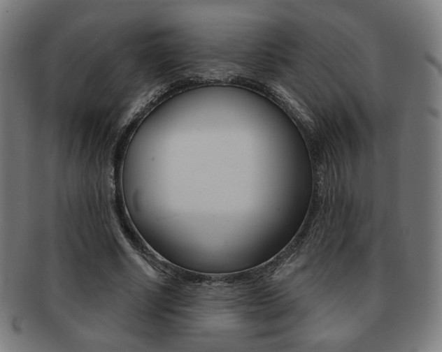 X0000091890634200709051045