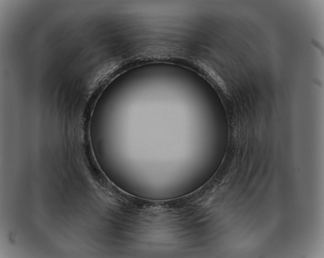 X0000091890635200709051045