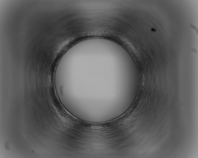X0000091890636200709051045