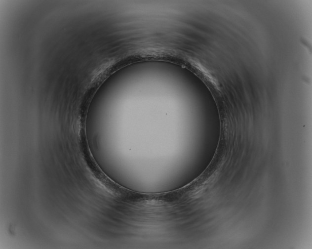 X0000091890637200709051045