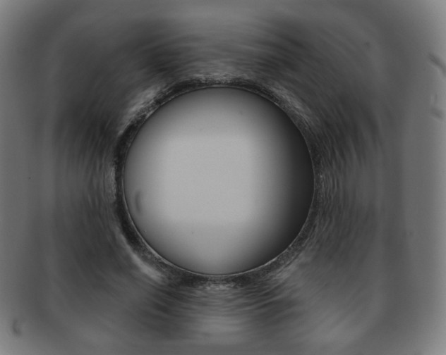 X0000091890638200709051045