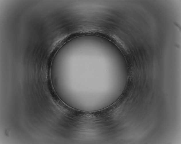 X0000091890640200709051045