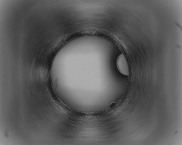 X0000091890641200709051045