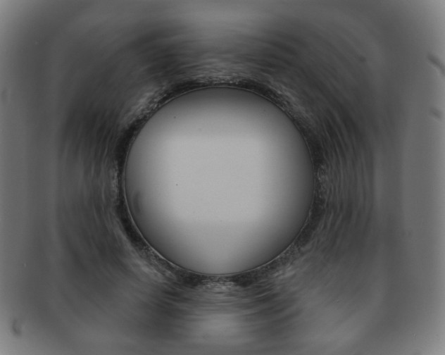 X0000091890642200709051045
