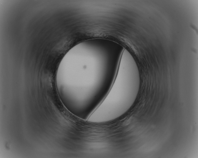 X0000091890643200709051045