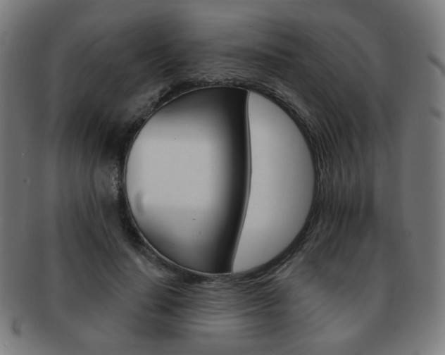 X0000091890644200709051045