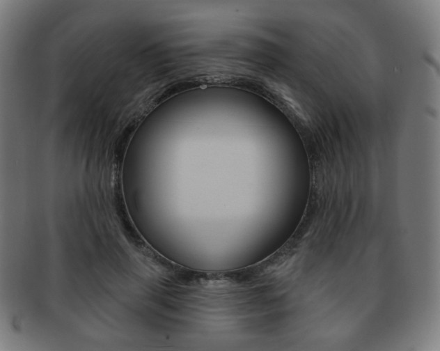 X0000091890645200709051045