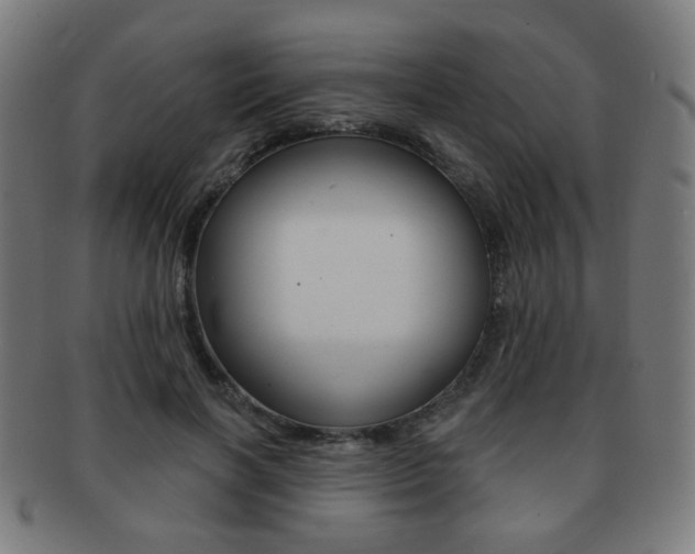 X0000091890646200709051045