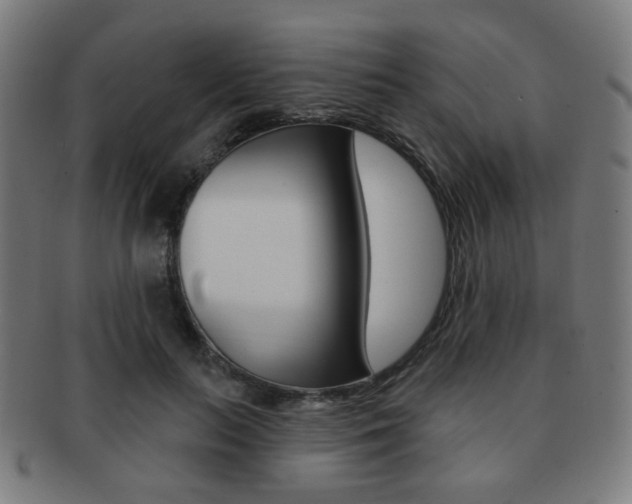 X0000091890647200709051045