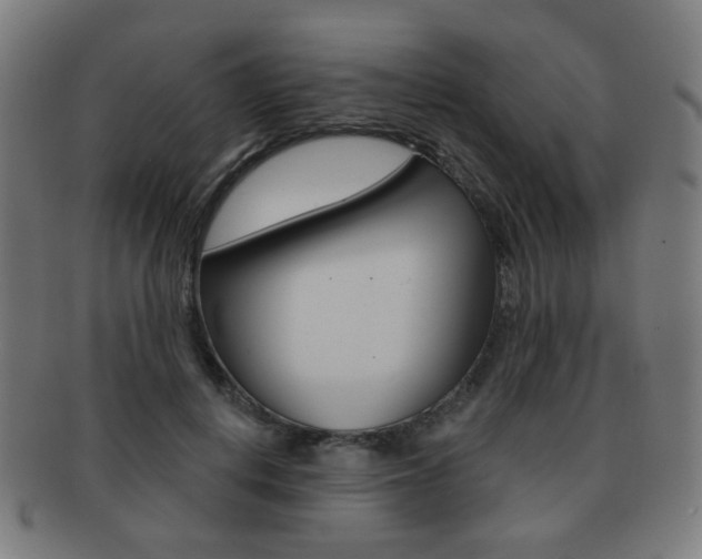 X0000091890648200709051045