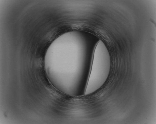 X0000091890649200709051045